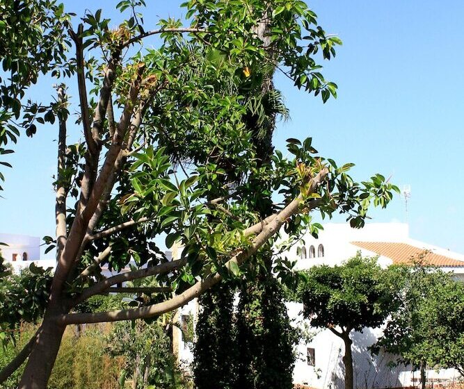 پانسیون Riad Dar Achaach