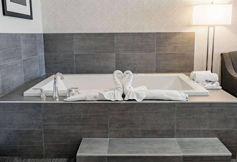 هتل Park Inn By Radisson Edmonton Airport