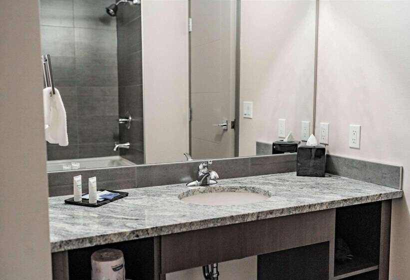هتل Park Inn By Radisson Edmonton Airport