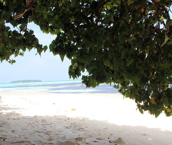 Fotos del hotel Rip Tide Beach:  4