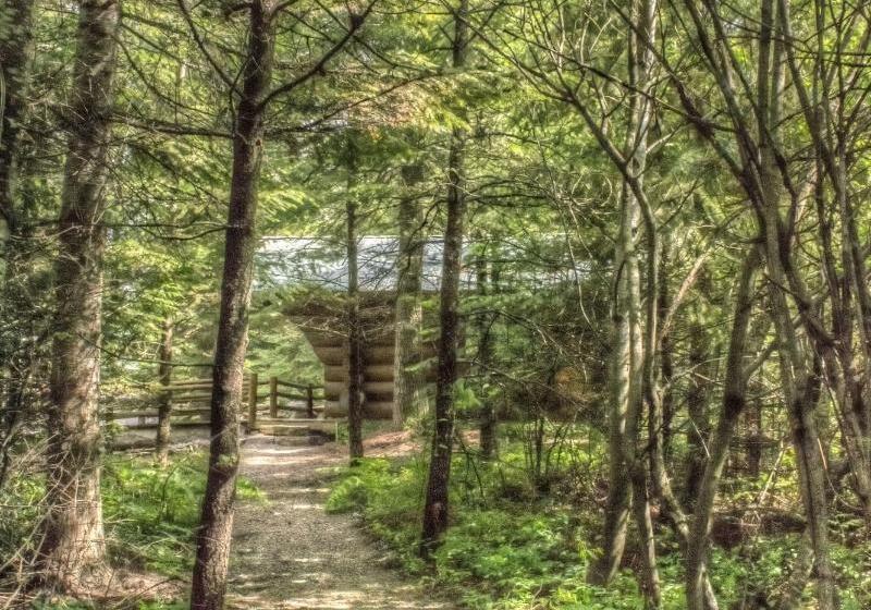فندق Log Inn Bonners Ferry