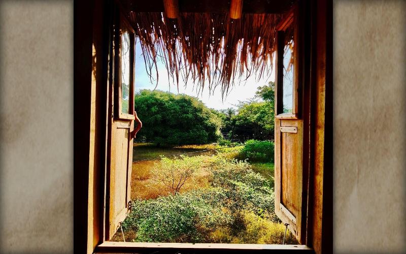 The Rabbit Tree Hostel