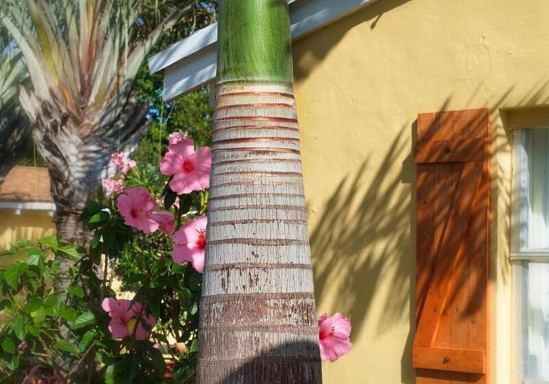 فندق فئة نجمة واحدة Atlantic Hideaway