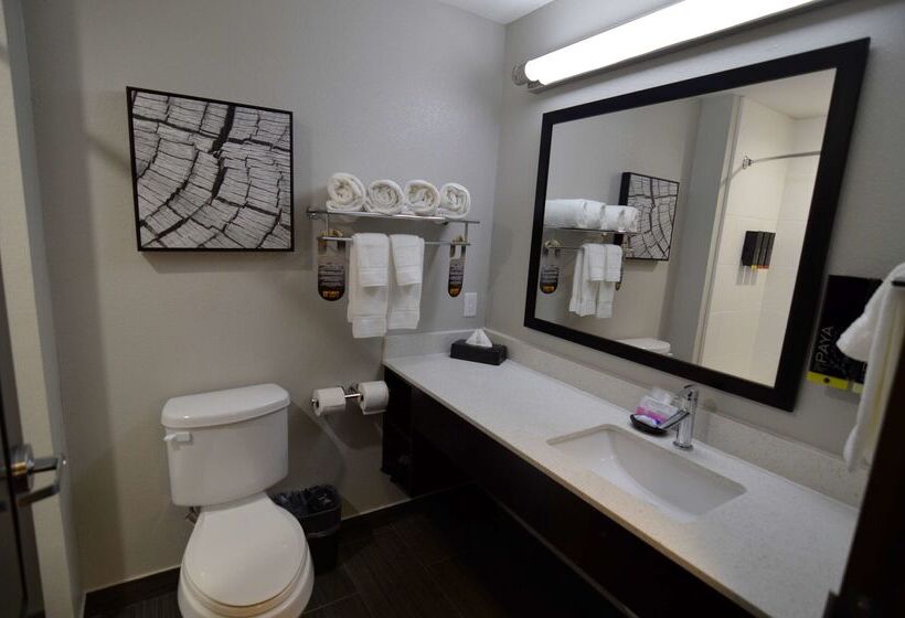ホテル Best Western Plus Bay City Inn & Suites