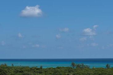 Fotos del hotel Portea  Playa Del Carmen 5th Ave Midtown:  13
