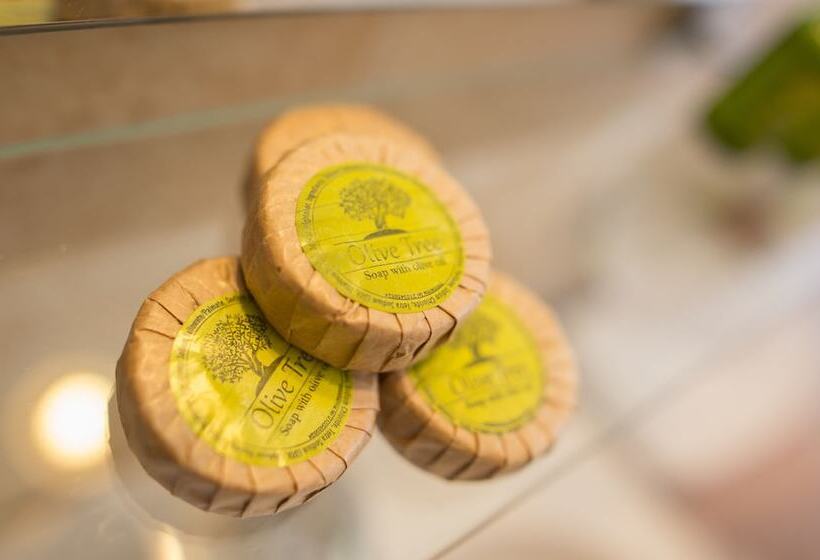 פנסיון Rooms Nancy