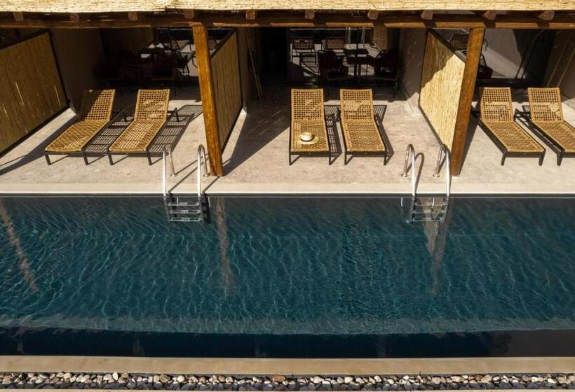 هتل Cook's Club Corfu - Adults Only
