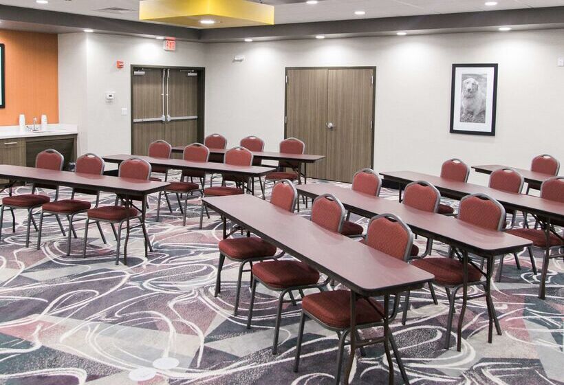 בית מלון כפרי Hampton Inn & Suites Amarillo East