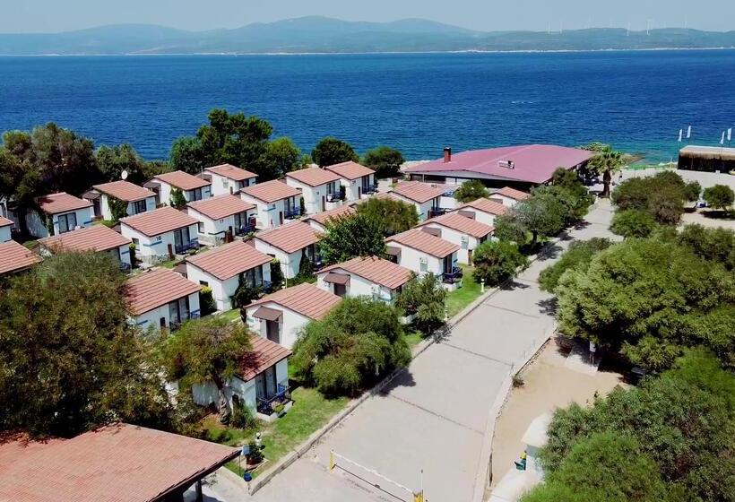 Maya Bistro Hotel & Beach