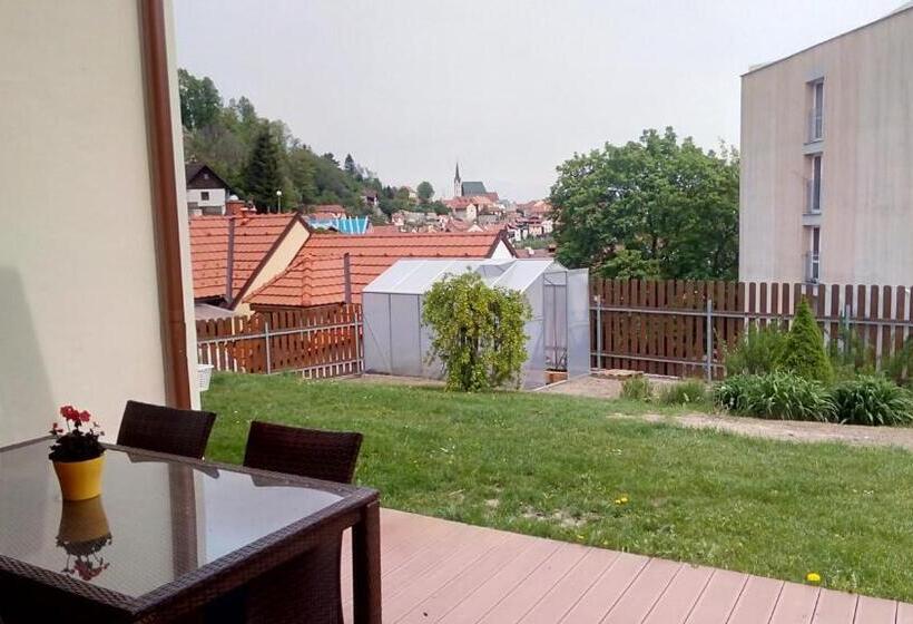 פנסיון Penzion Delanta