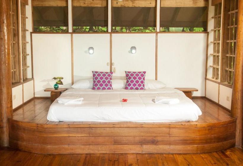 استراحتگاه Samasati Retreat And Rainforest Sanctuary