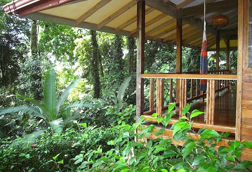 استراحتگاه Samasati Retreat And Rainforest Sanctuary