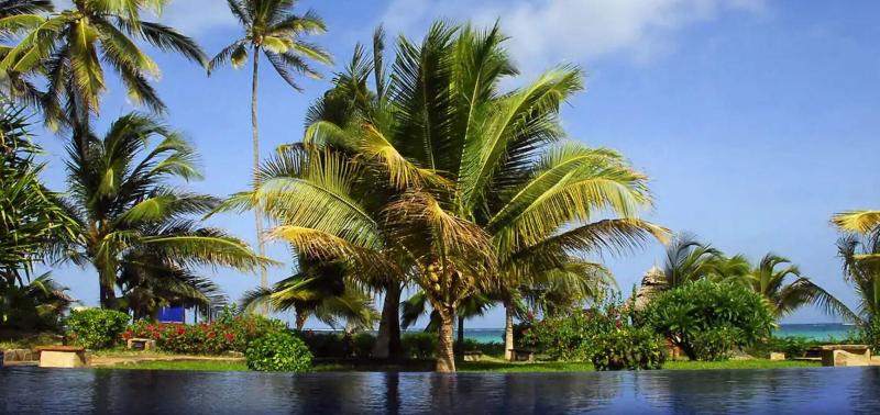 منتجع The Palms Zanzibar