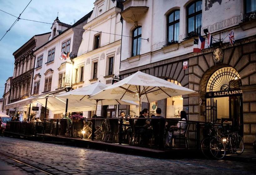 پانسیون U Salzmannů