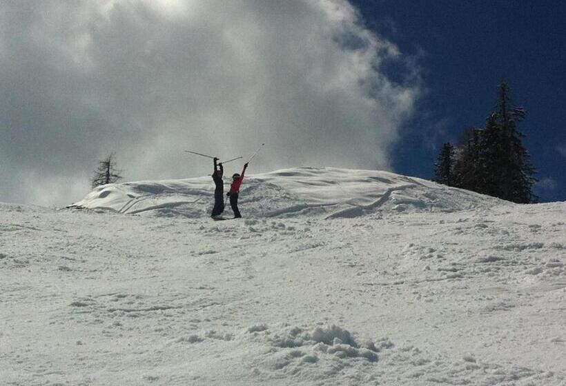 בית מלון כפרי Gerlosperle