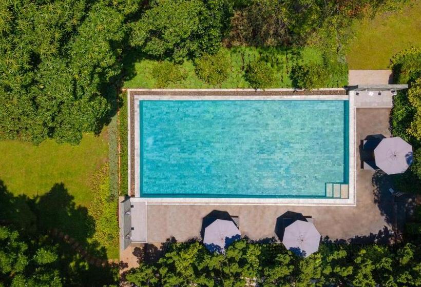 Diamond Hill Resort