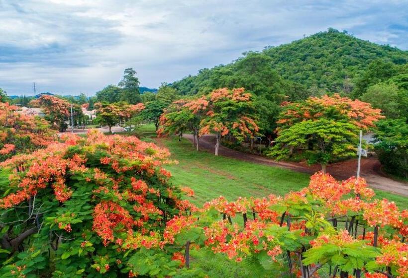 Diamond Hill Resort