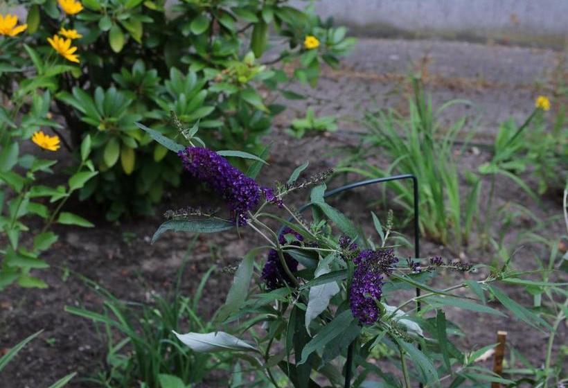 ホテル Alte Mühle