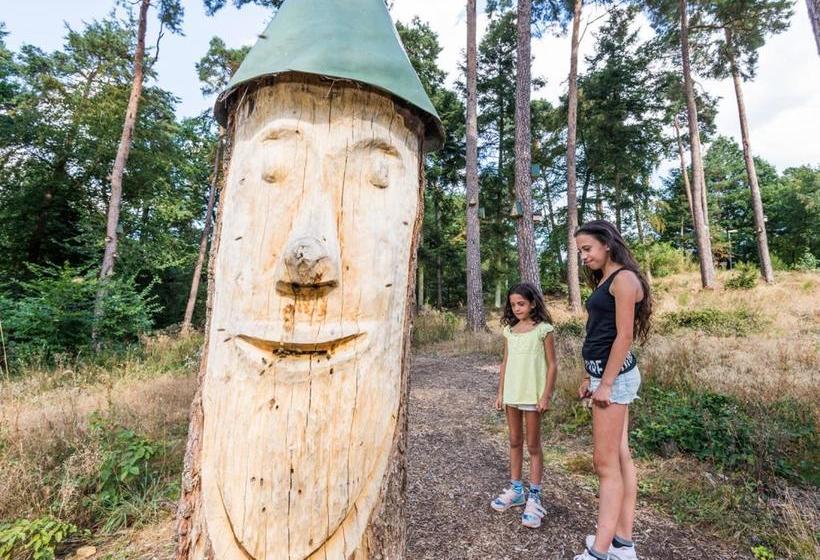 호텔 Landal Sonnenberg