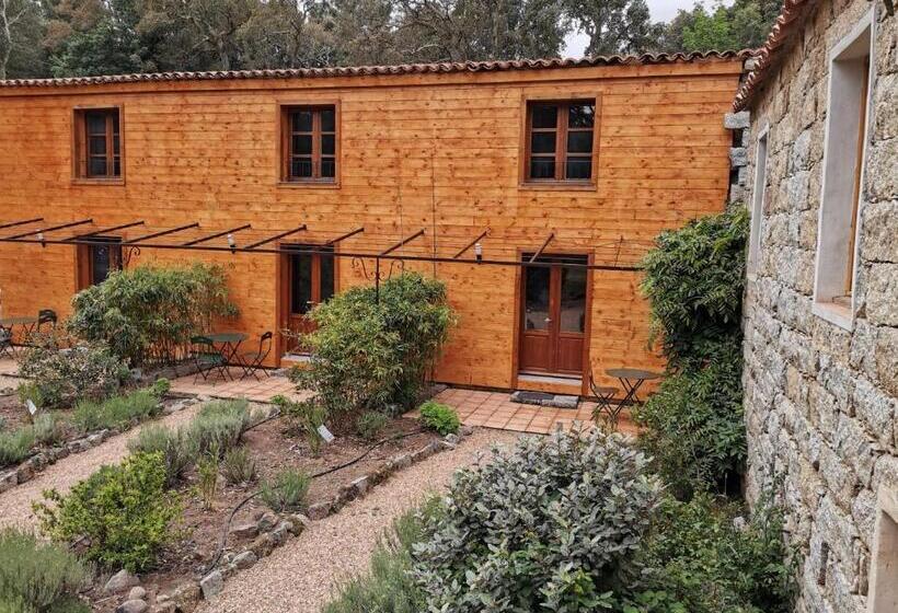 צימר Chambres D Hôtes Barraconu
