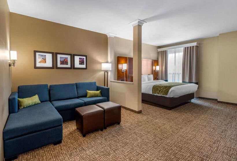 هتل Comfort Suites Denver Near Anschutz Medical Campus