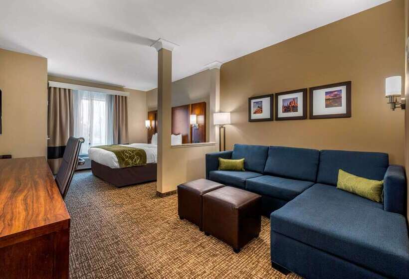 هتل Comfort Suites Denver Near Anschutz Medical Campus