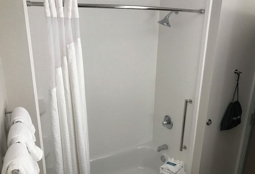ホテル Holiday Inn Express And Suites Hannibal   Medical Center By Ihg