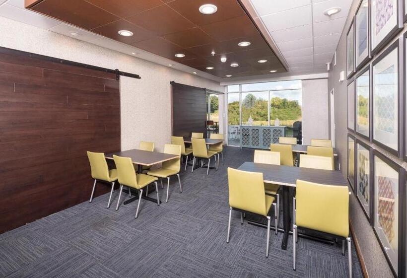 هتل Holiday Inn Express & Suites   Kalamazoo West, An Ihg