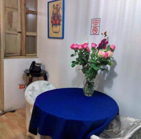 هاستل Escocie   Centro Historico