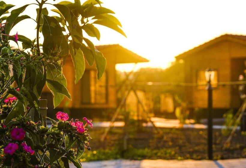 تختخواب و صبحانه Lemon Garden Lodge
