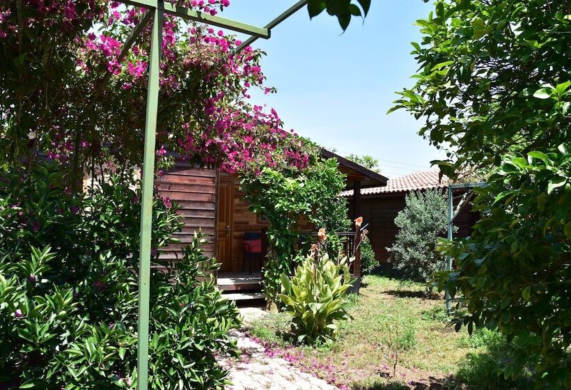 تختخواب و صبحانه Lemon Garden Lodge