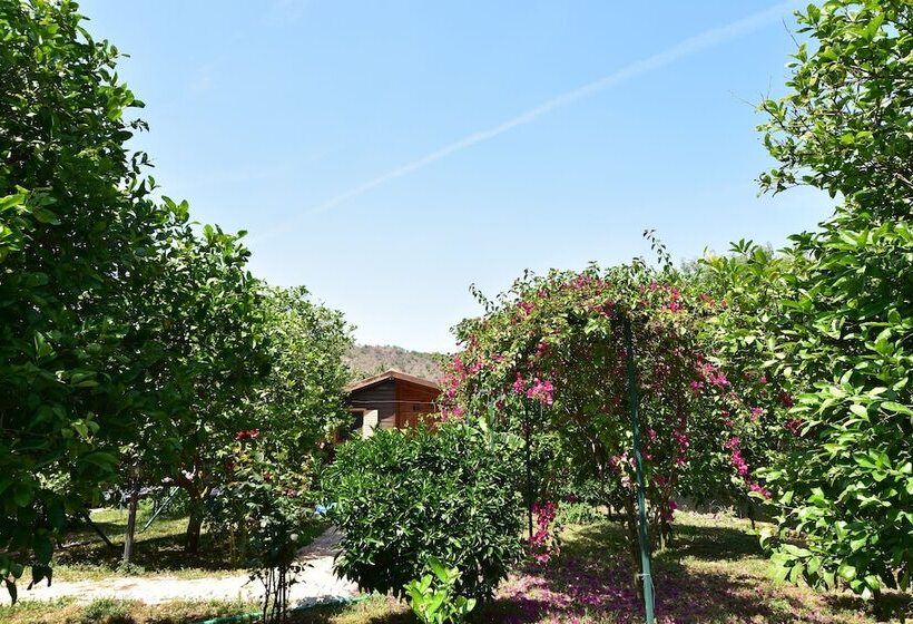 تختخواب و صبحانه Lemon Garden Lodge