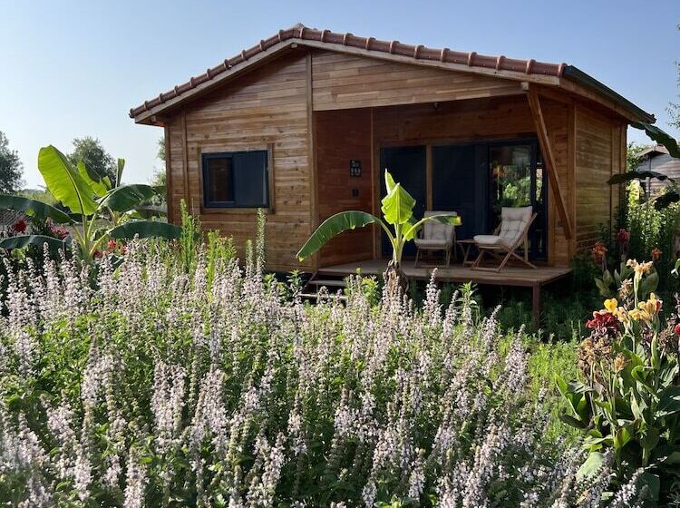 تختخواب و صبحانه Lemon Garden Lodge
