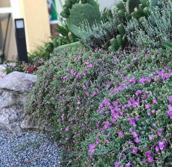 هتل Descanso Las Tres Marias Apart