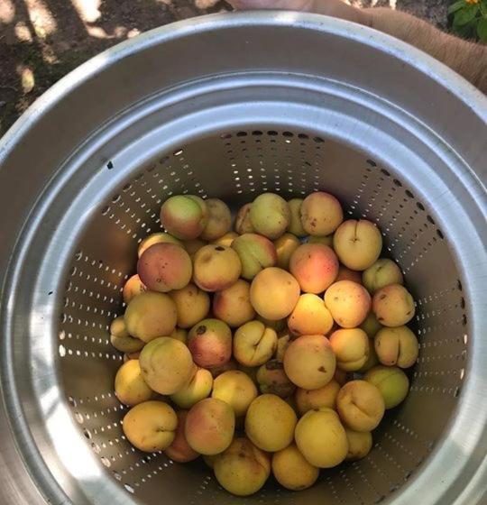 هتل Descanso Las Tres Marias Apart