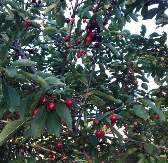 هتل Descanso Las Tres Marias Apart