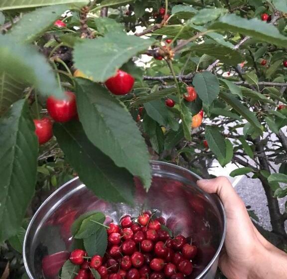 هتل Descanso Las Tres Marias Apart
