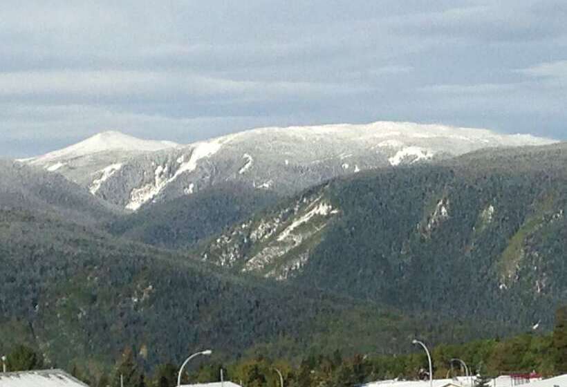 호텔 Misty Mountain Inn & Suites
