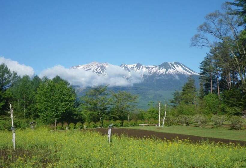 ריוקאן Tsutaya Tokinoyado Kazari