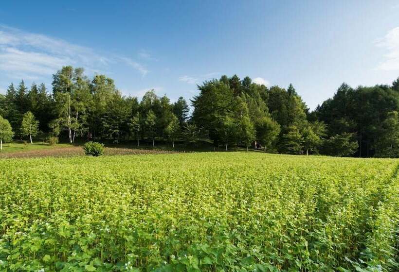 ריוקאן Tsutaya Tokinoyado Kazari