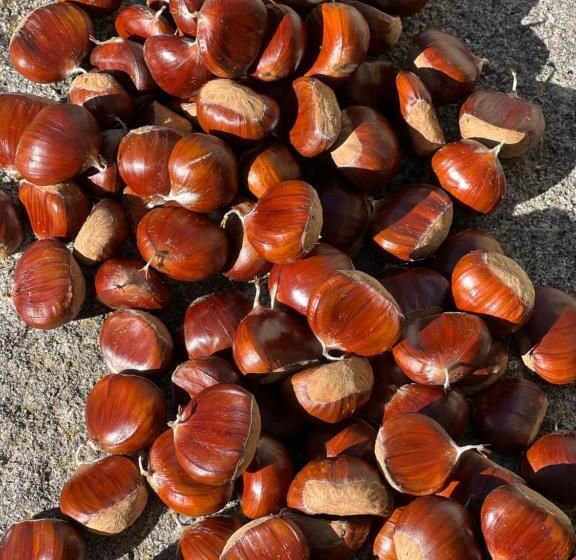 B&b Podere Legnotorto