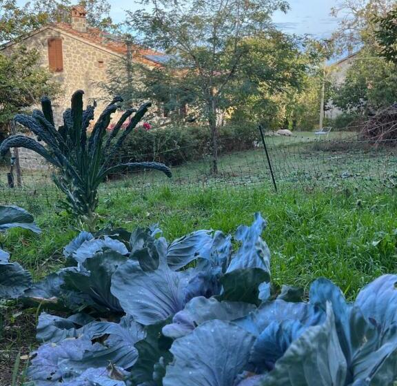 B&b Podere Legnotorto