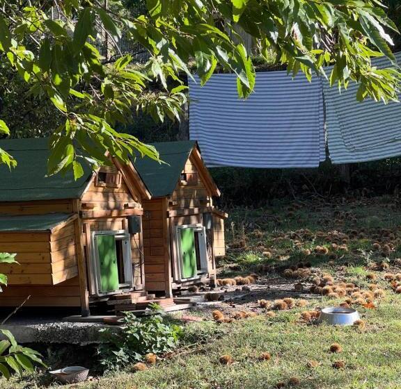 B&b Podere Legnotorto