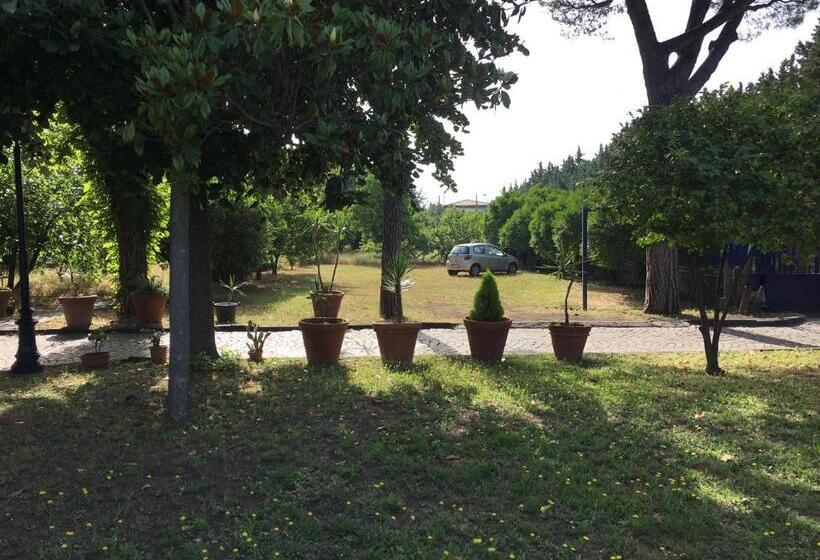 مبيت وإفطار Villa Viuli