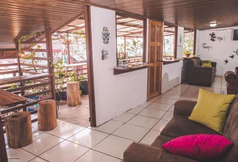 Passifloras Hostel