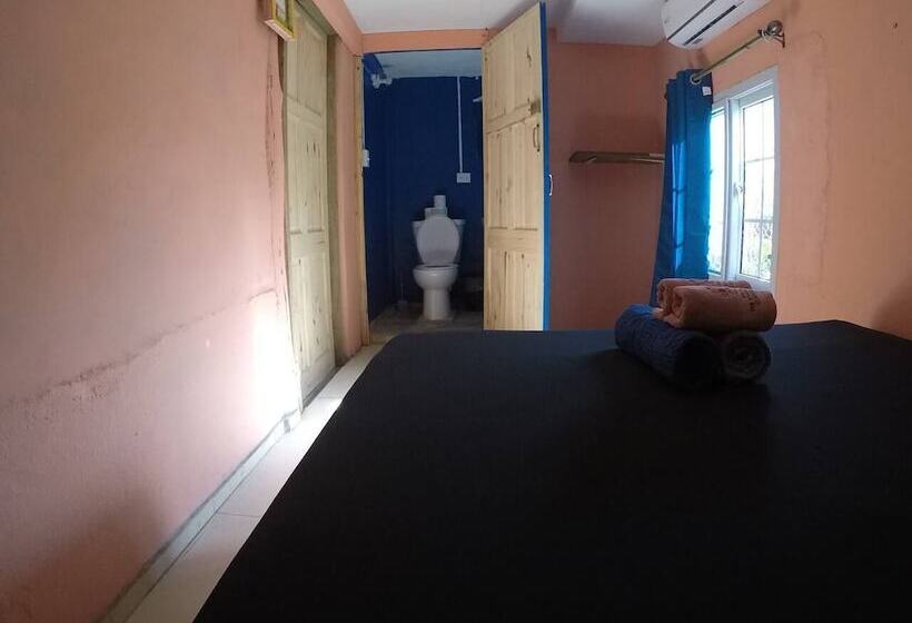 Twin Fin Hostels