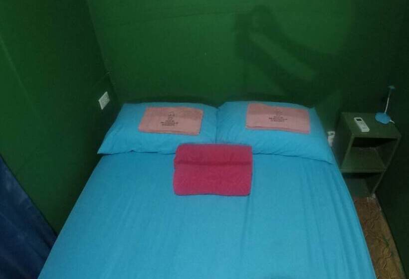 Twin Fin Hostels