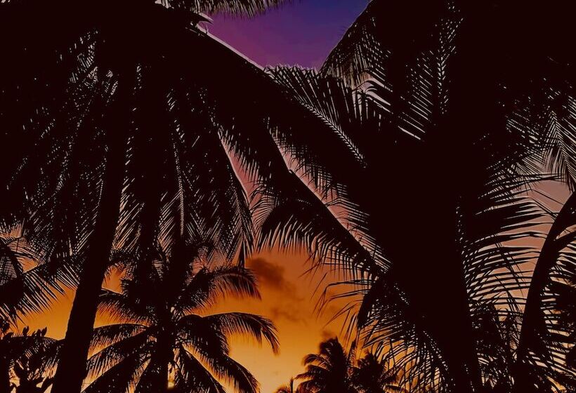 فندق Dreamcabanas