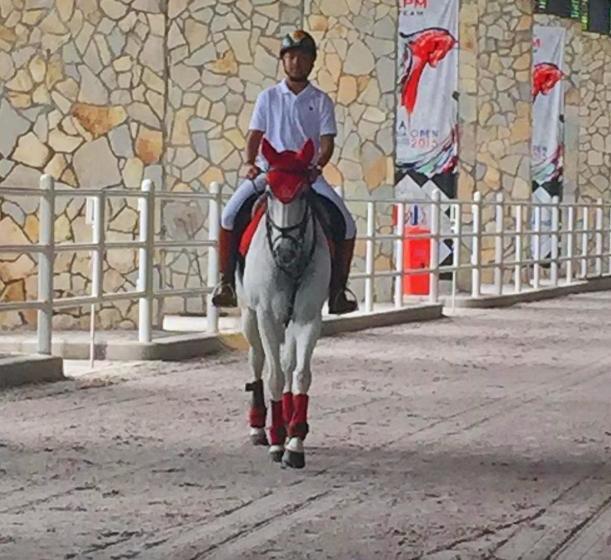 Apm Equestrian Resort