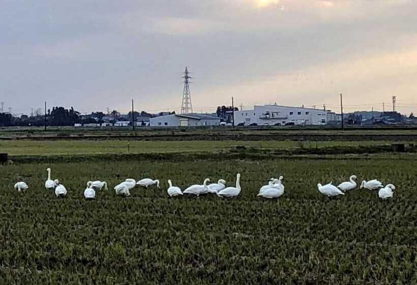 Iwamuro Slow Hostel
